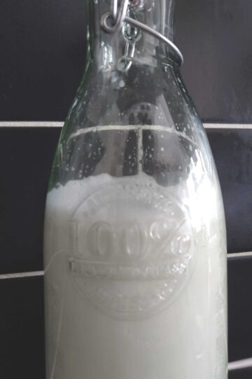 Homemade tiger nut milk
